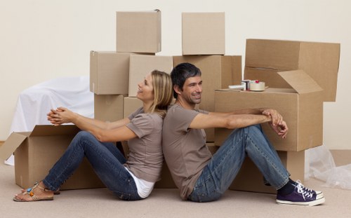 Risk assessment planning for a Westminster removal job